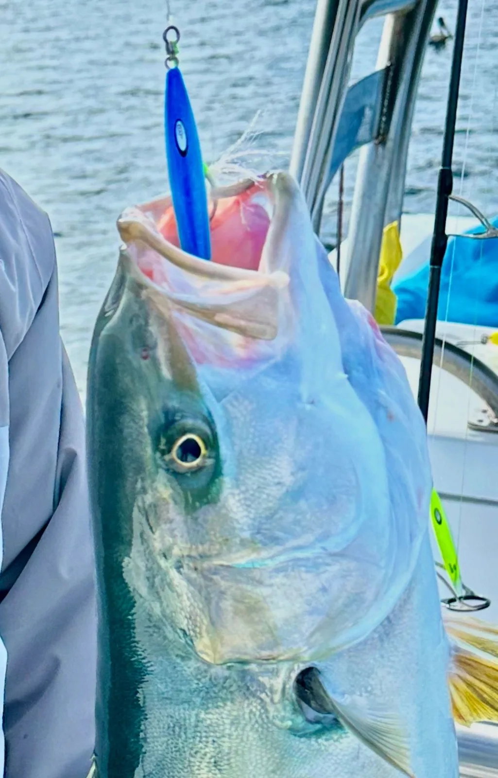 Baja Winter Jigging