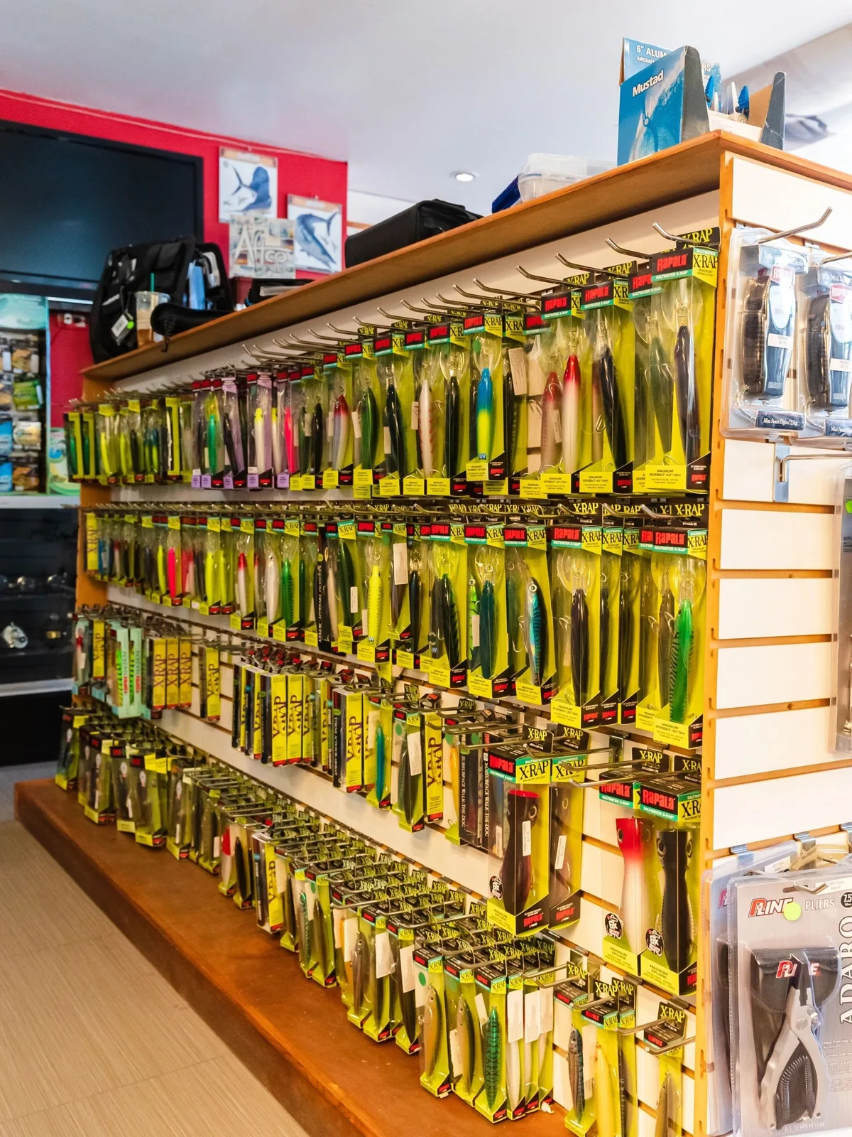 Mastering the Art of Jigging in Ensenada