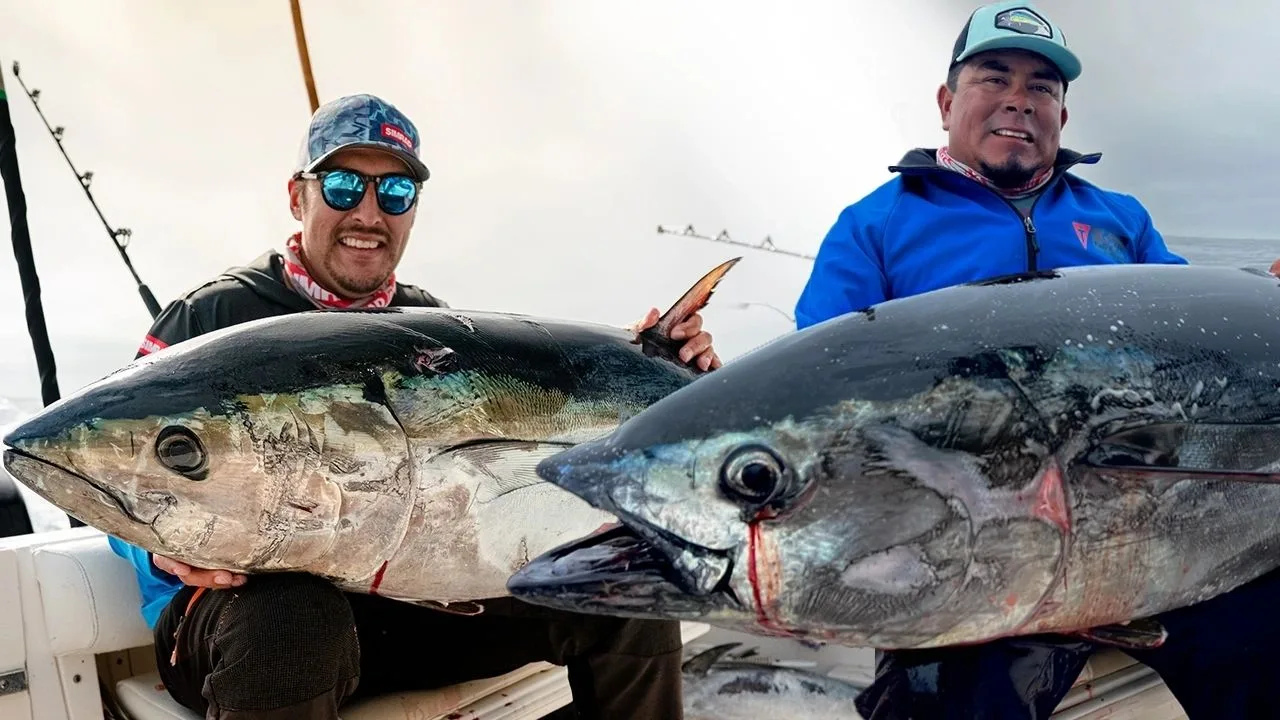 Fishing Tides in Ensenada