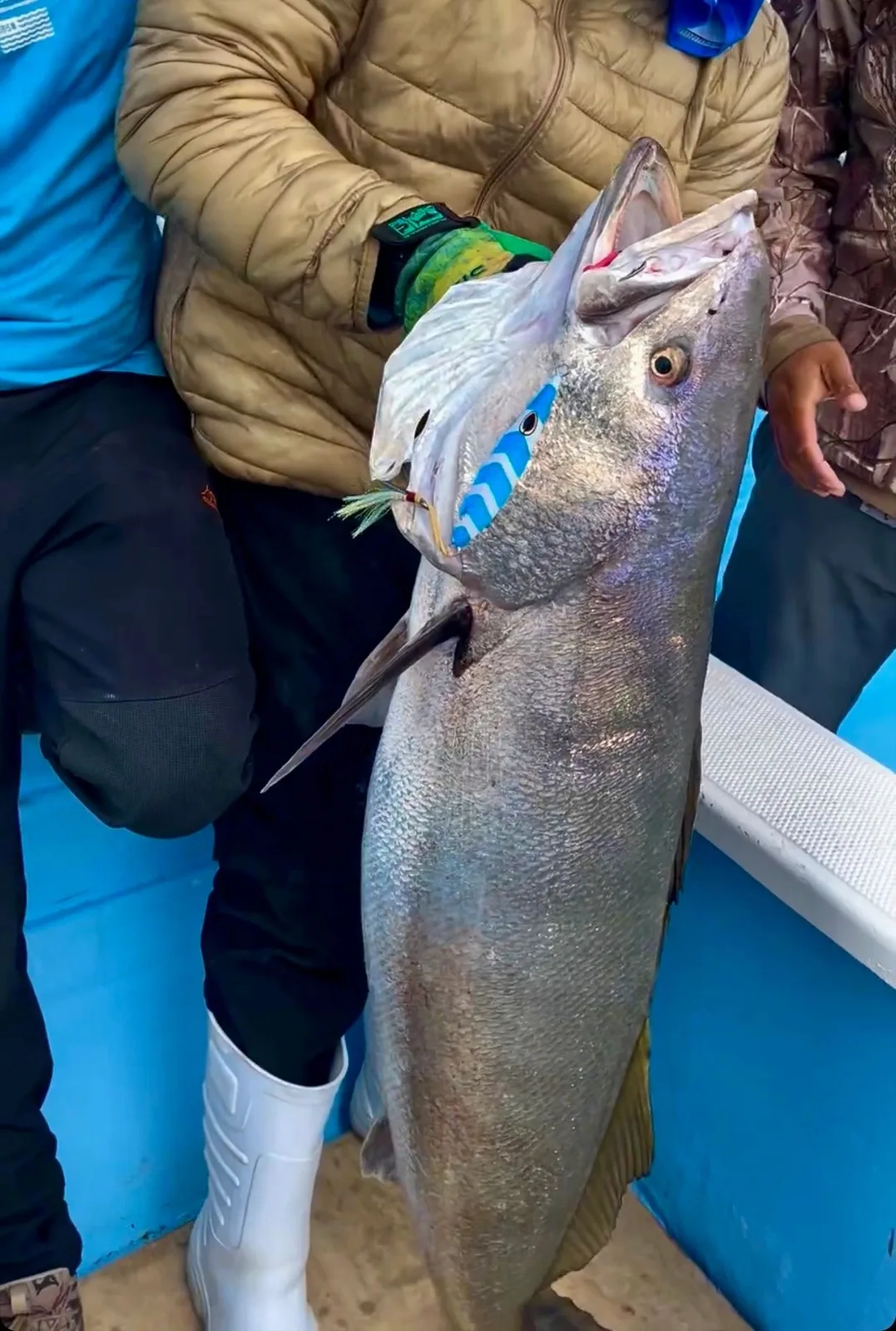 Baja Winter Jigging