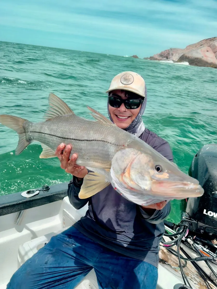 Robalo capturado en una pesca real en México